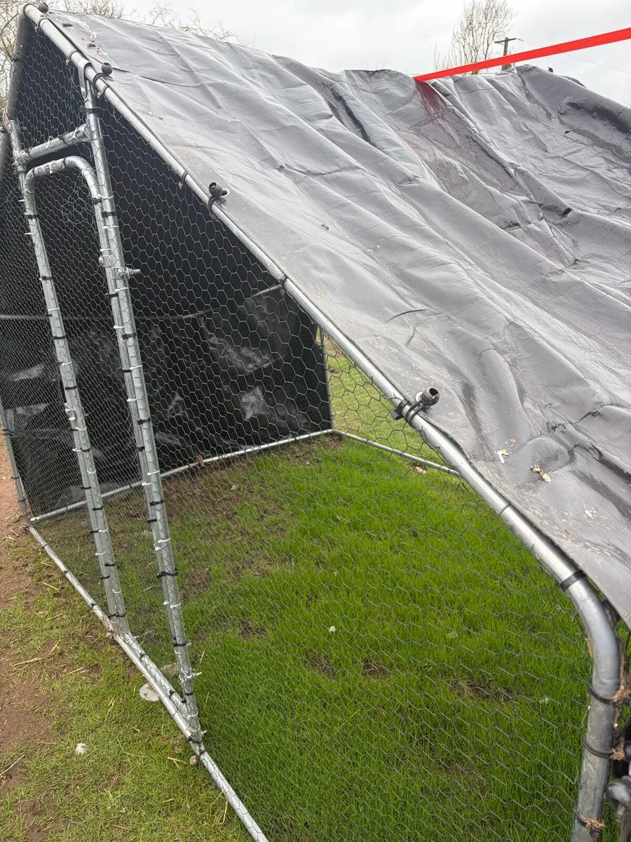 Chicken Run Deal- 2mtr run Fox Proof - Image 3