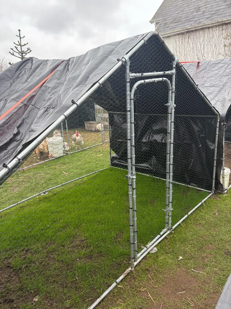 Chicken Run Deal- 2mtr run Fox Proof - Image 1