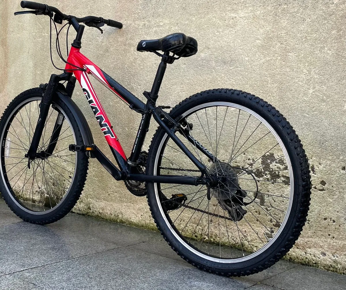Giant mountain bike 24inch - Image 3