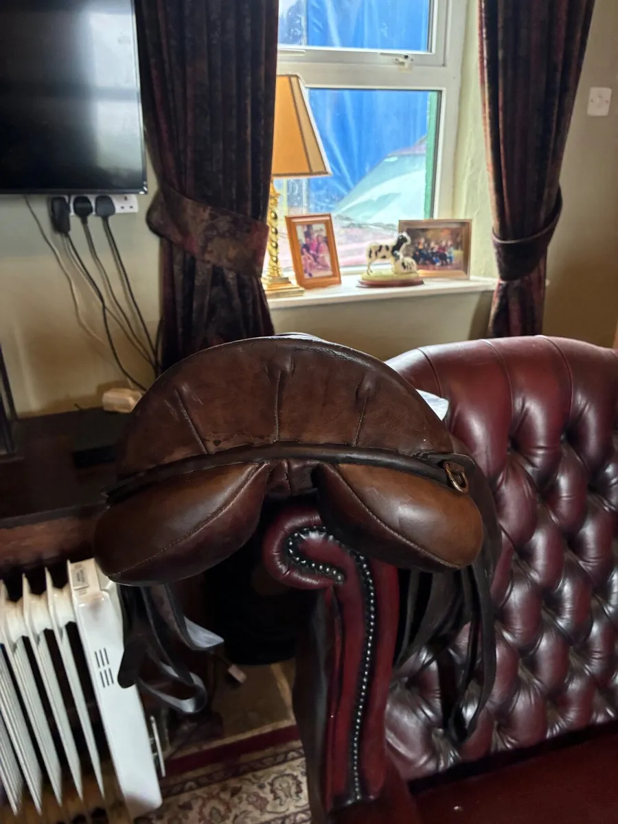 HORSE SADDLE - Image 3