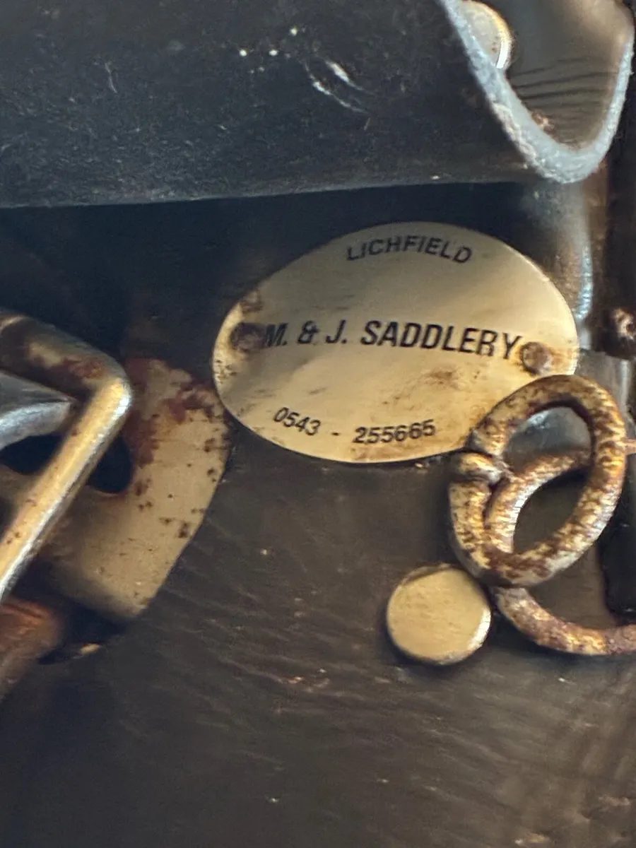 HORSE SADDLE - Image 2