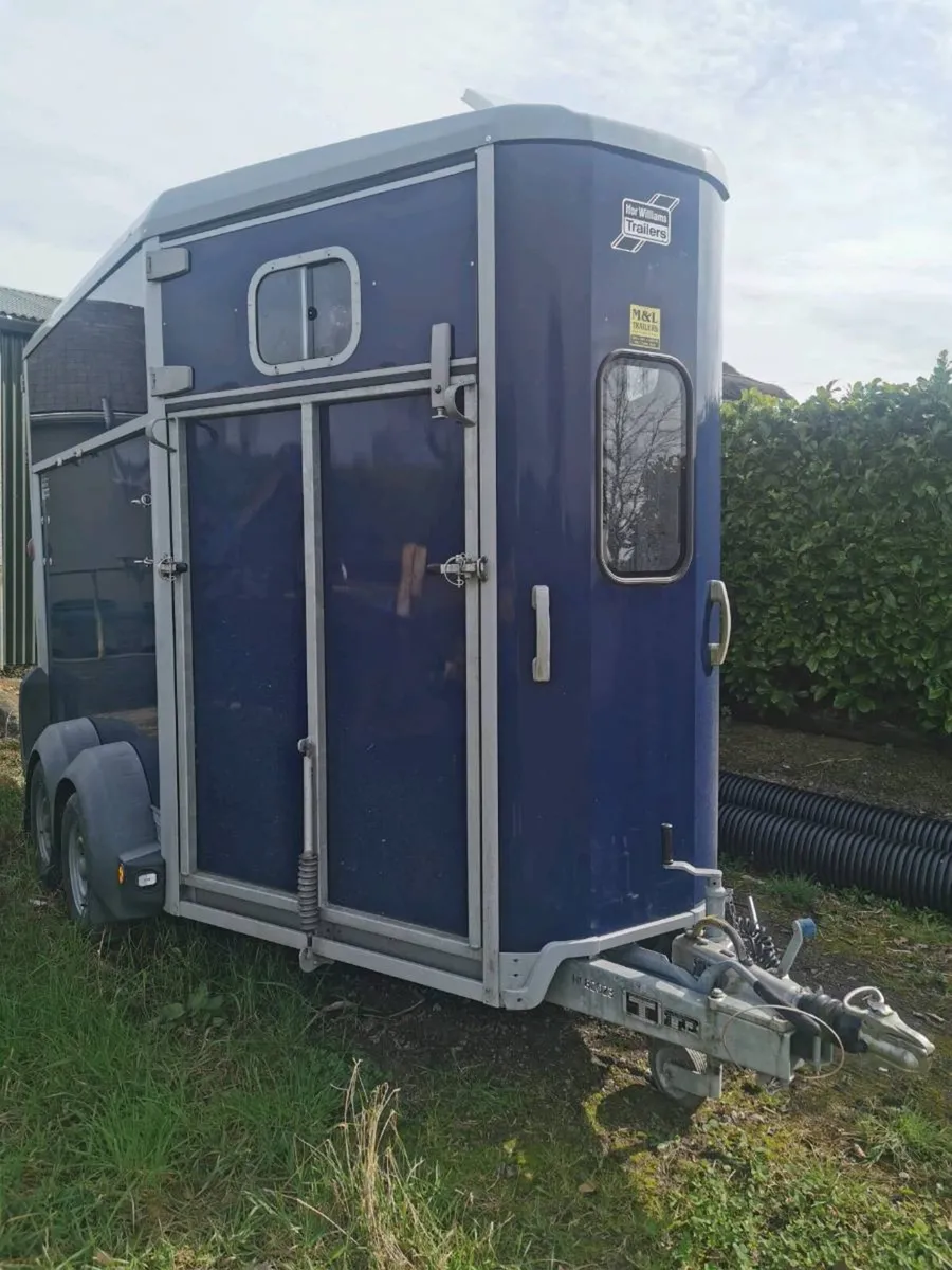 HB511 Ifor Williams horsebox - Image 2