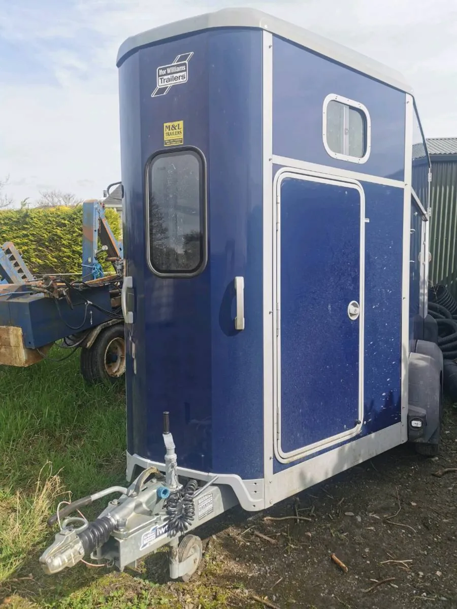 HB511 Ifor Williams horsebox - Image 1
