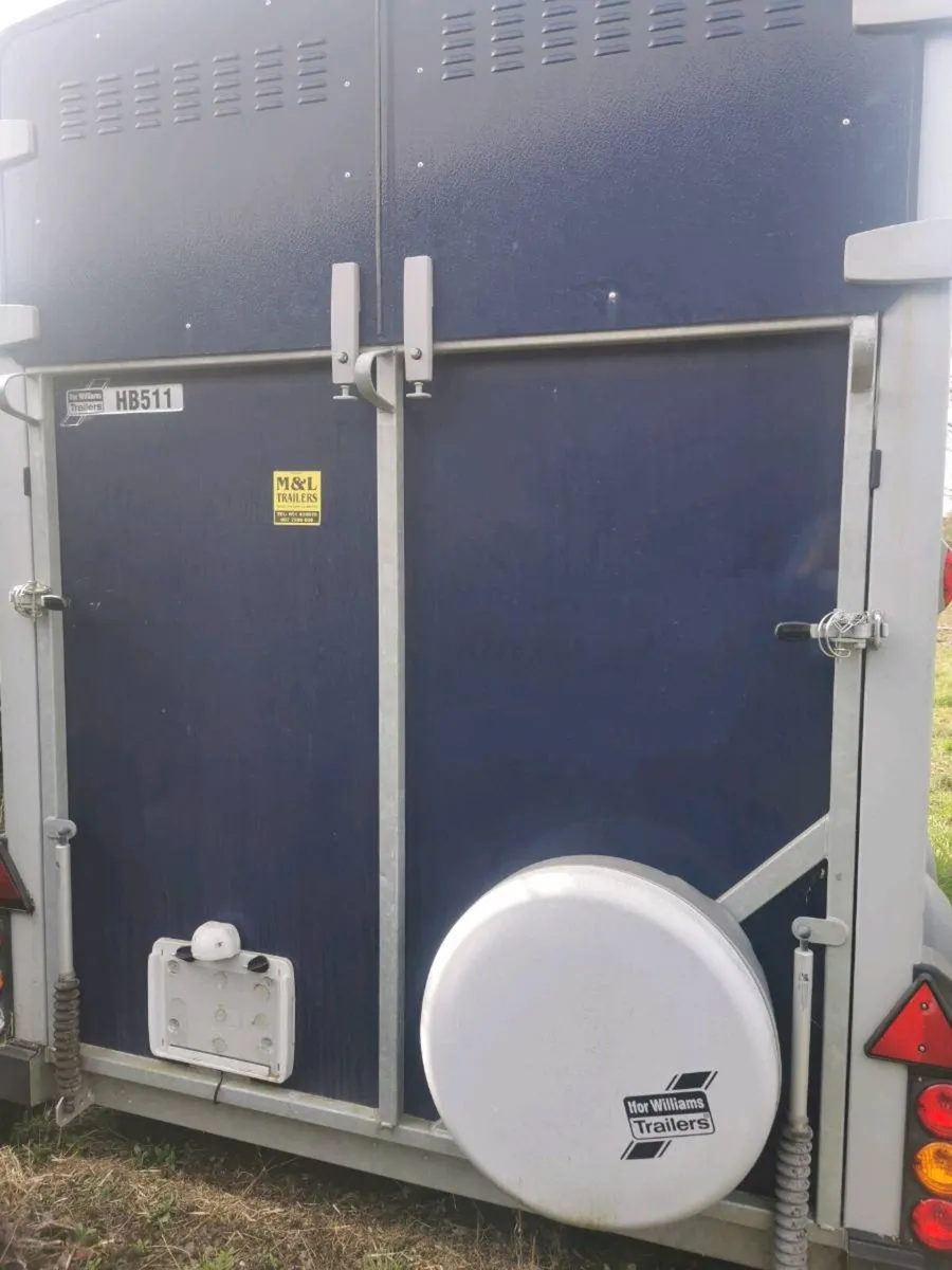 HB511 Ifor Williams horsebox - Image 3