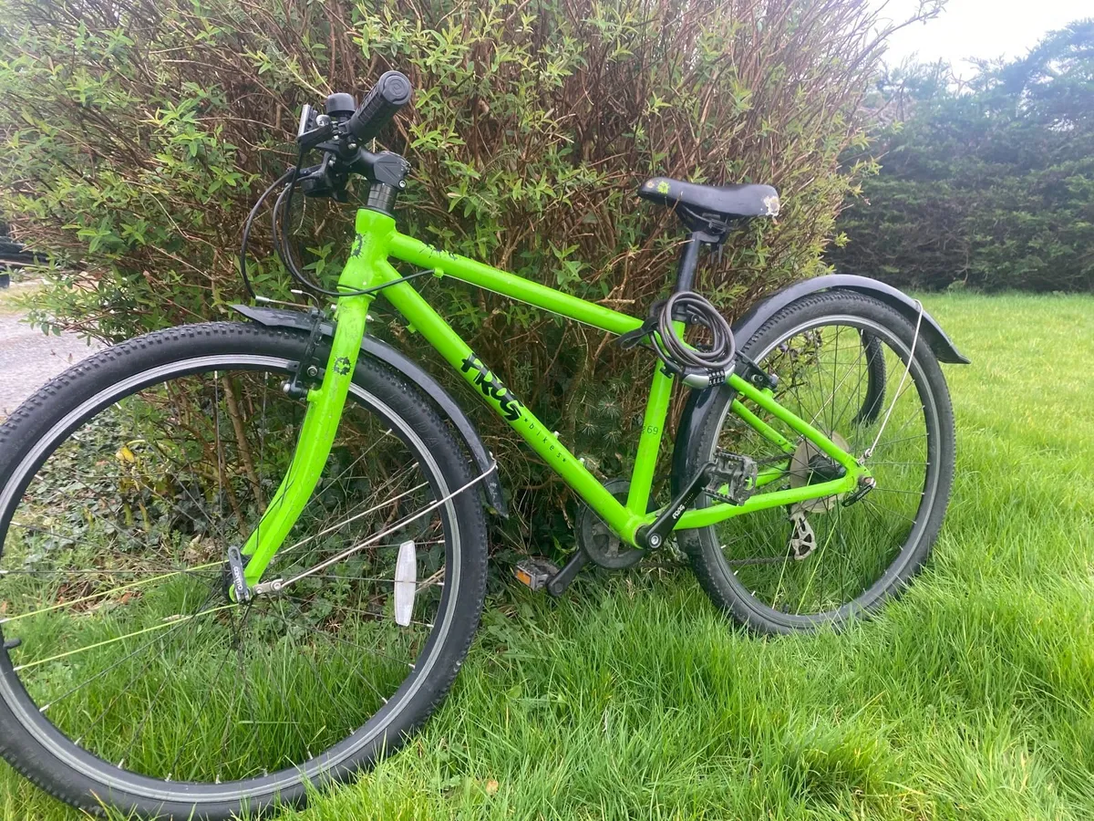 Frog bicycles - Image 2