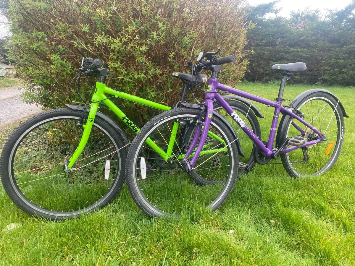 Frog bicycles - Image 1