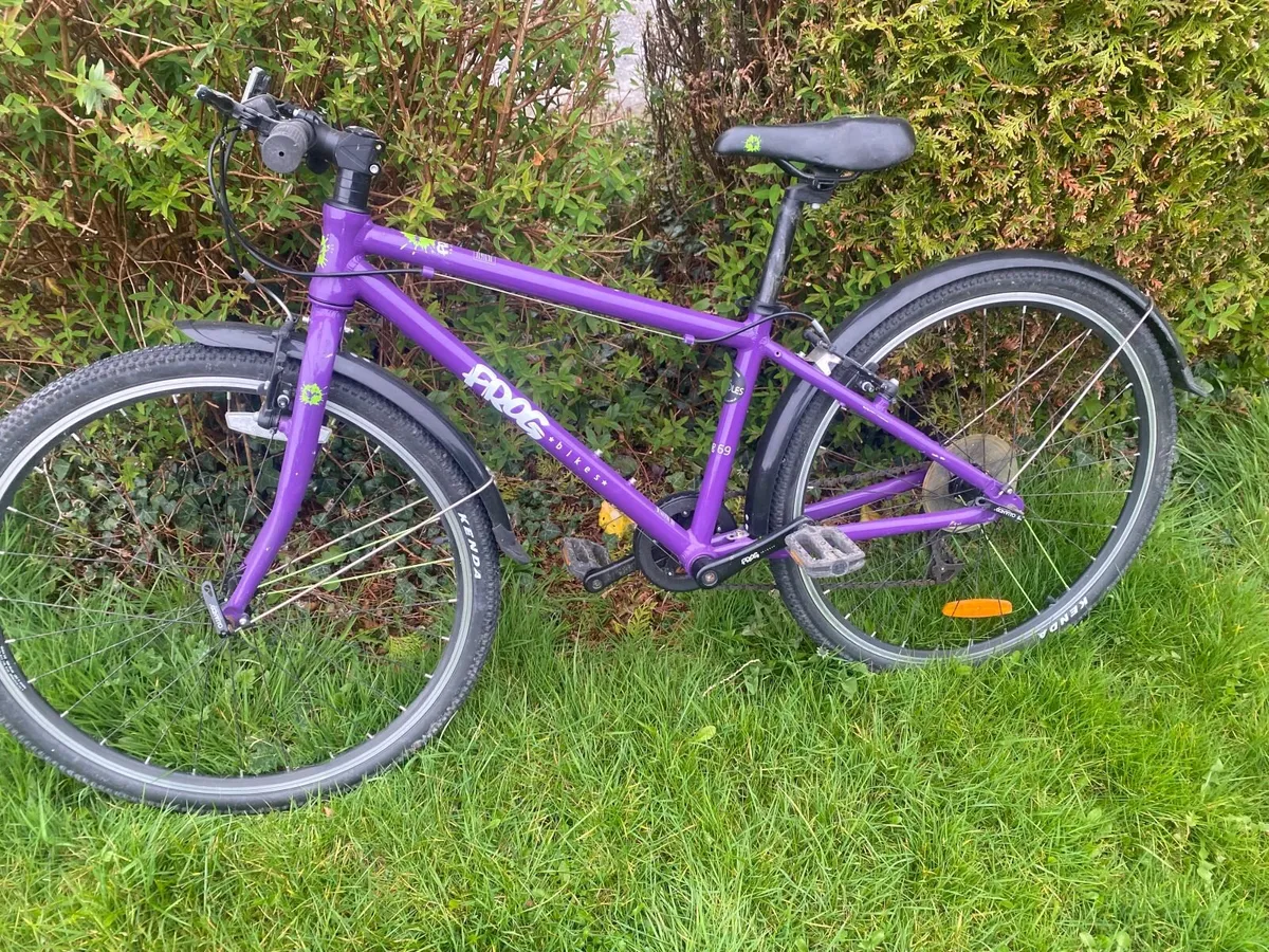 Frog bicycles - Image 3