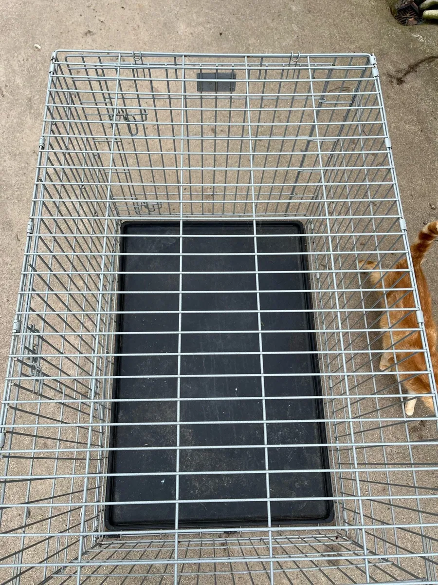 Dog crate - Image 3
