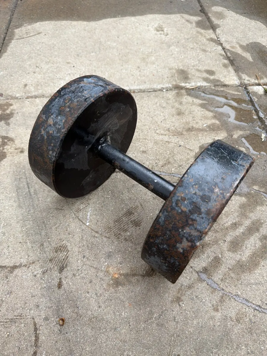 25kg dumbell weight