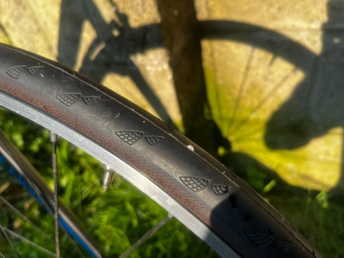 Canyon Endurace AL 6.0 XL - Image 2