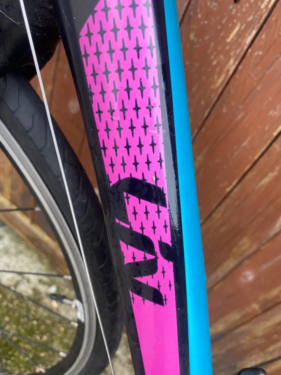 Giant liv avail - Image 2