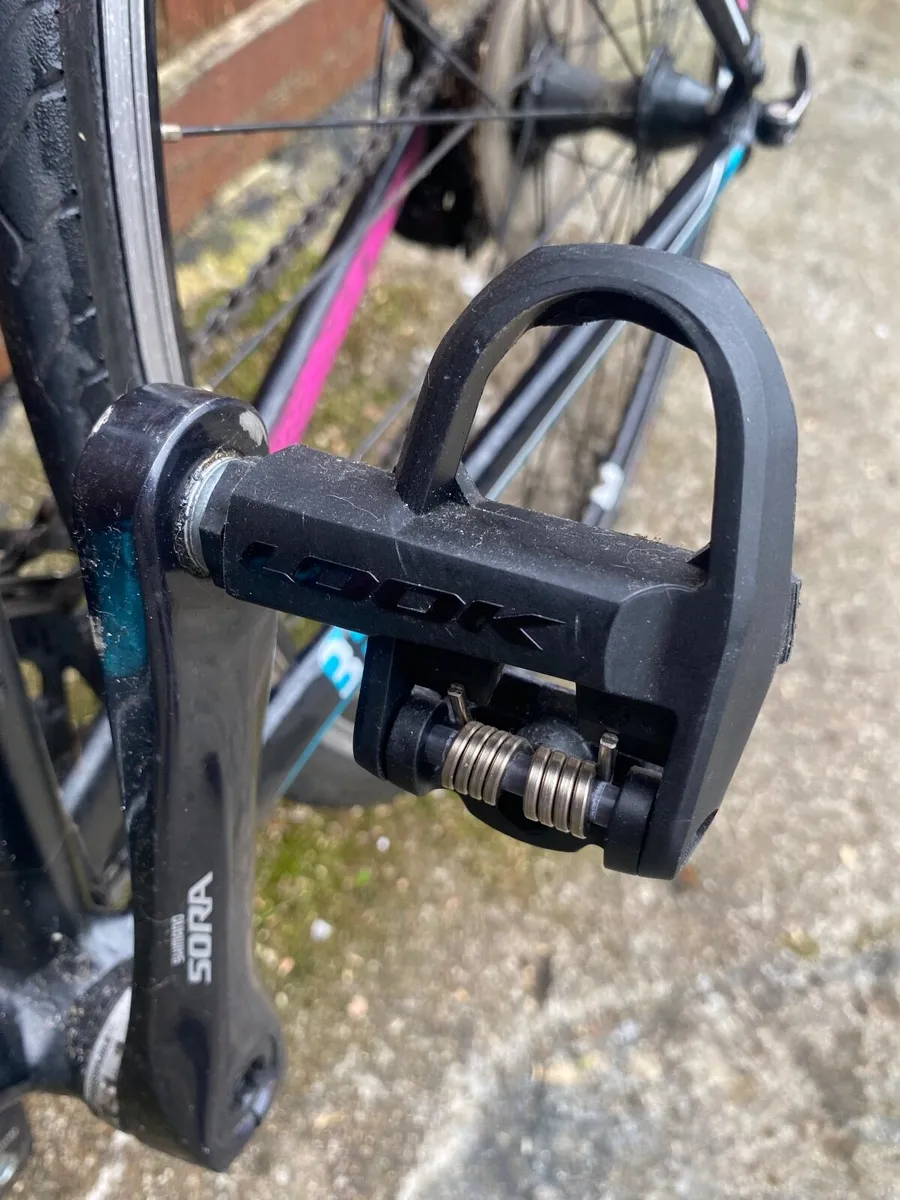 Giant liv avail - Image 3