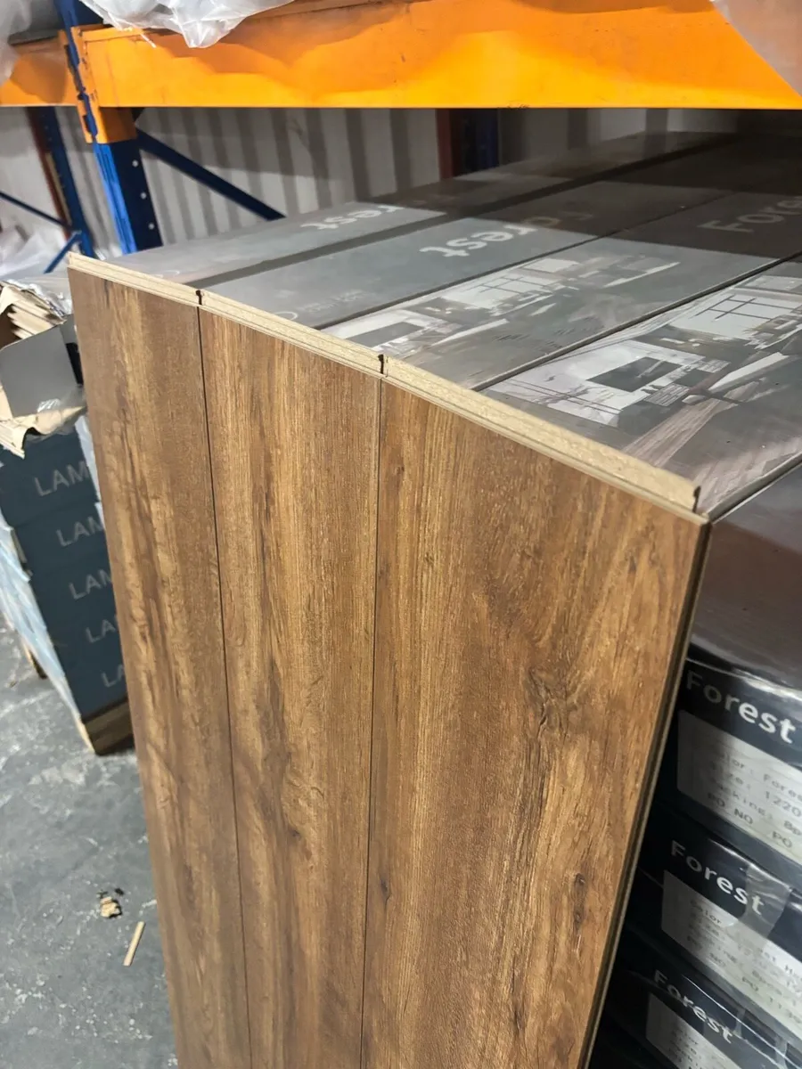 Forrest Munich Oak 12mm Laminated Flooring - Image 4