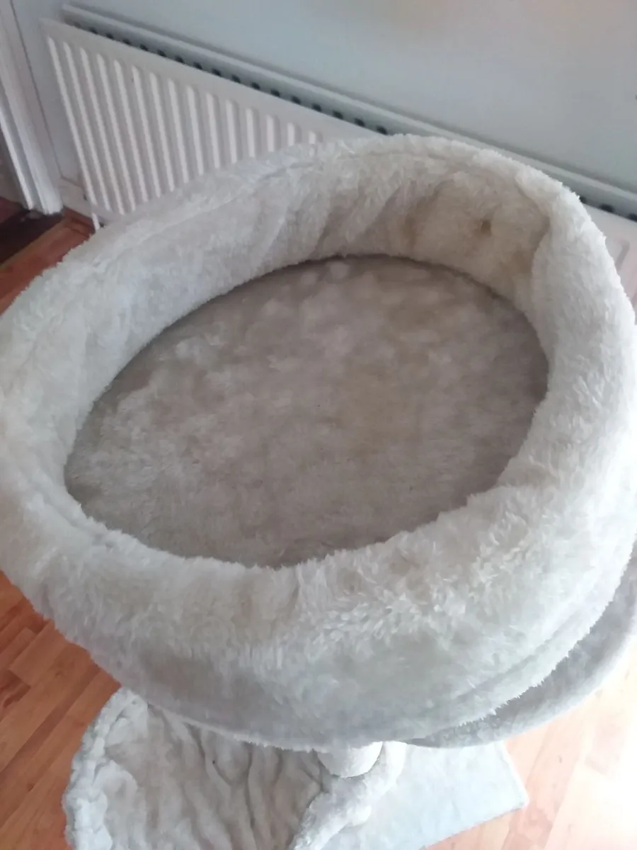 Cat scratching  post - Image 1