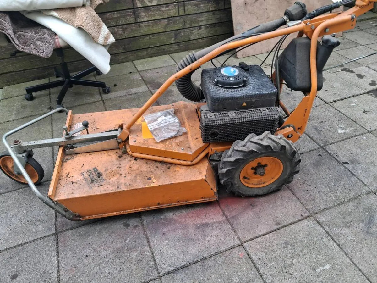 As lawmmower - Image 1