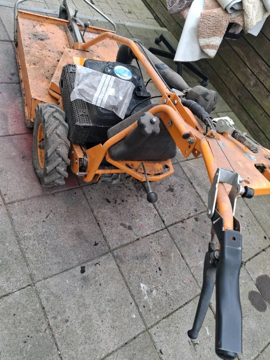 As lawmmower - Image 4