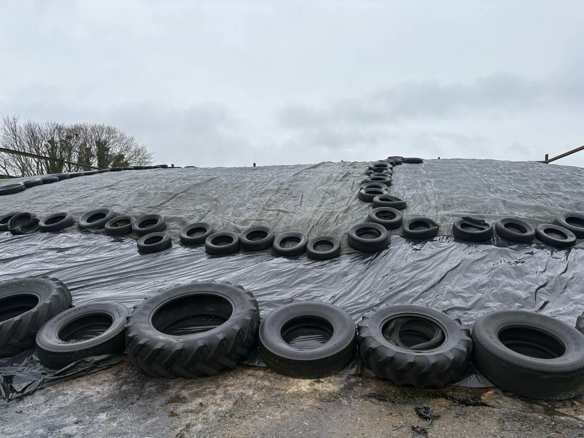 Silage - Image 1