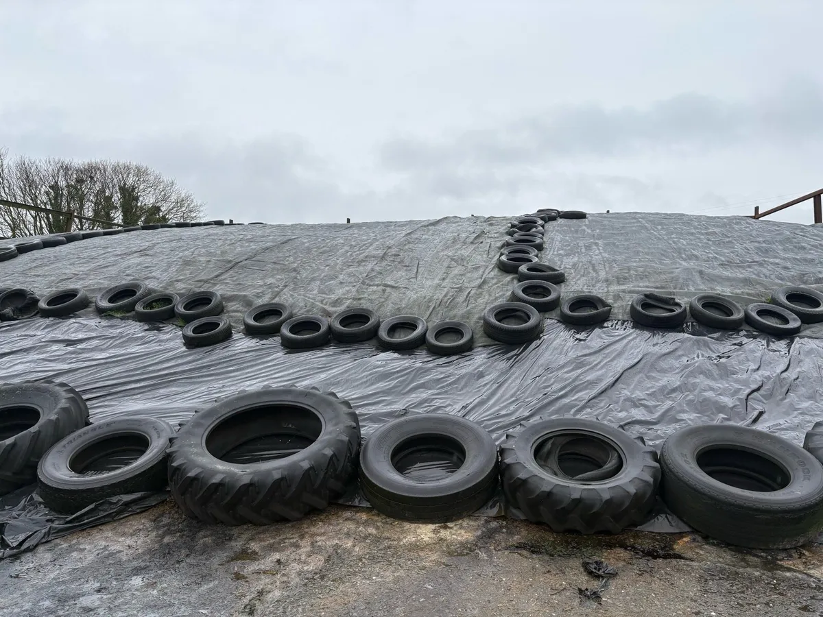 Silage - Image 2