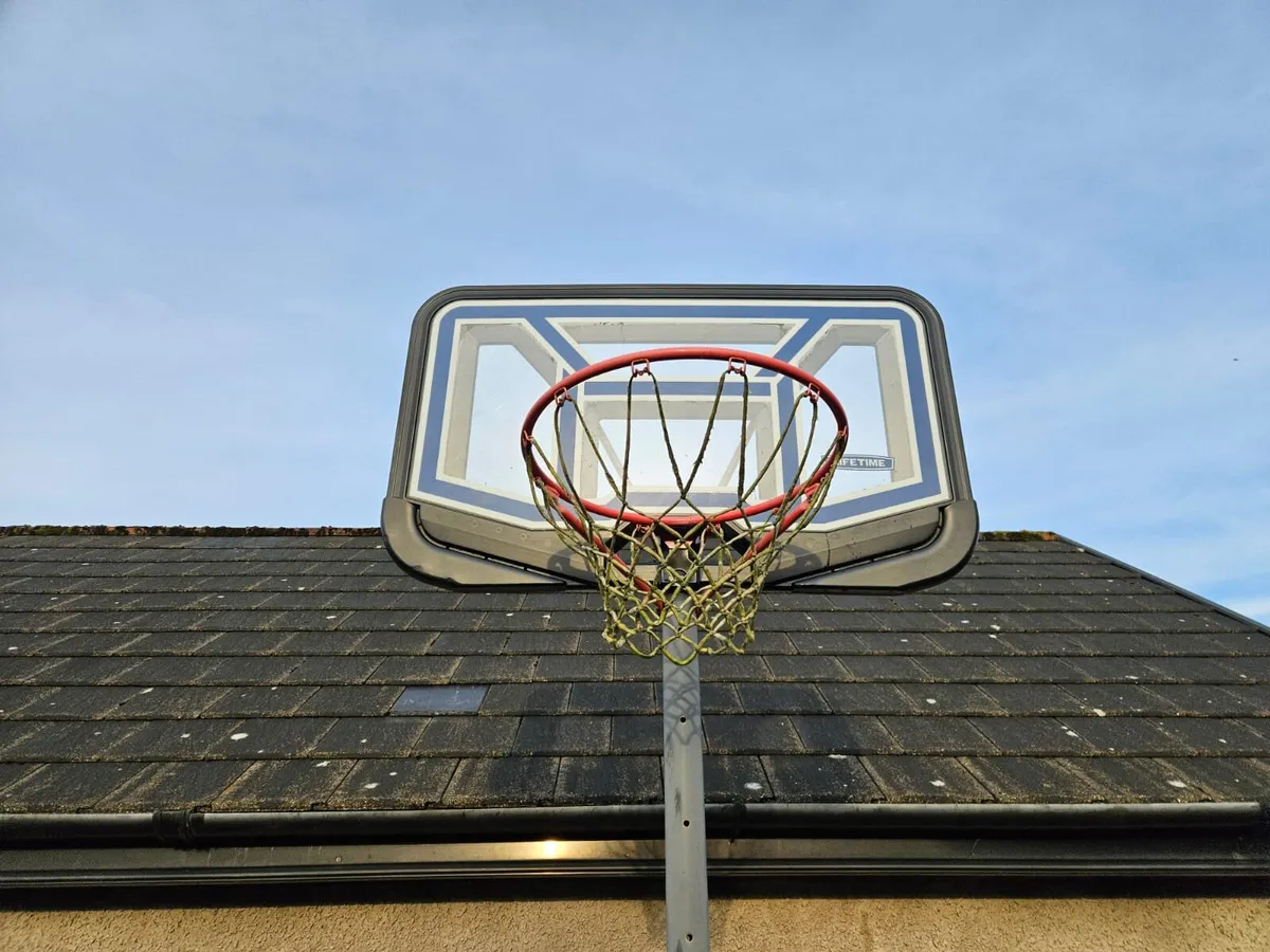 Basketball Net - Image 2