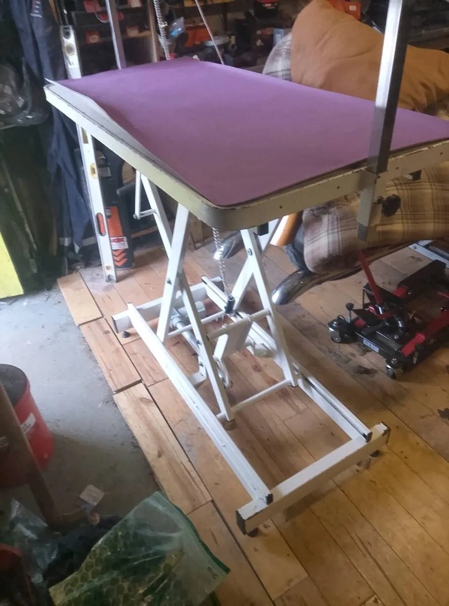Grooming electric table - Image 1