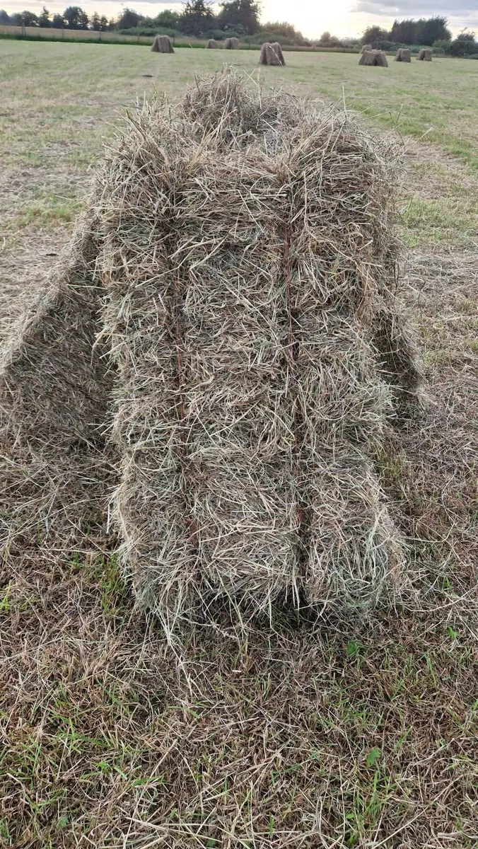 Square Hay Bales For Sale - Image 1