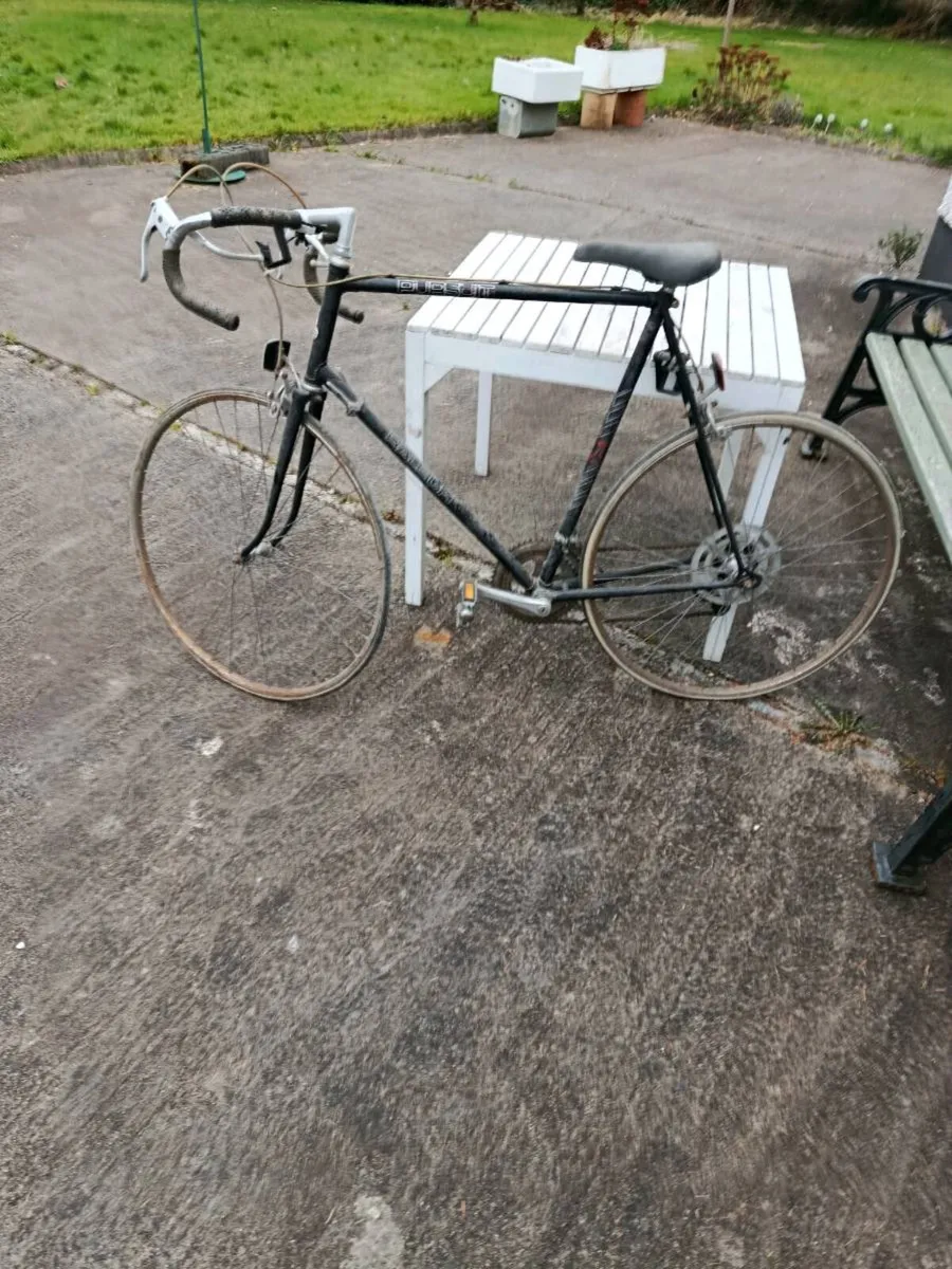 Raleigh pursuit bike - Image 1