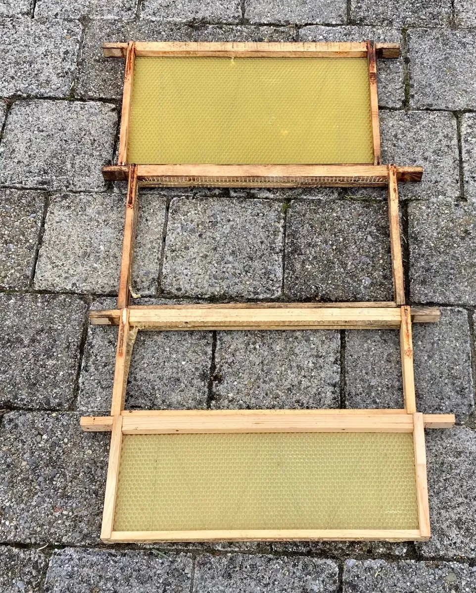 Beehives & accessories - Image 4