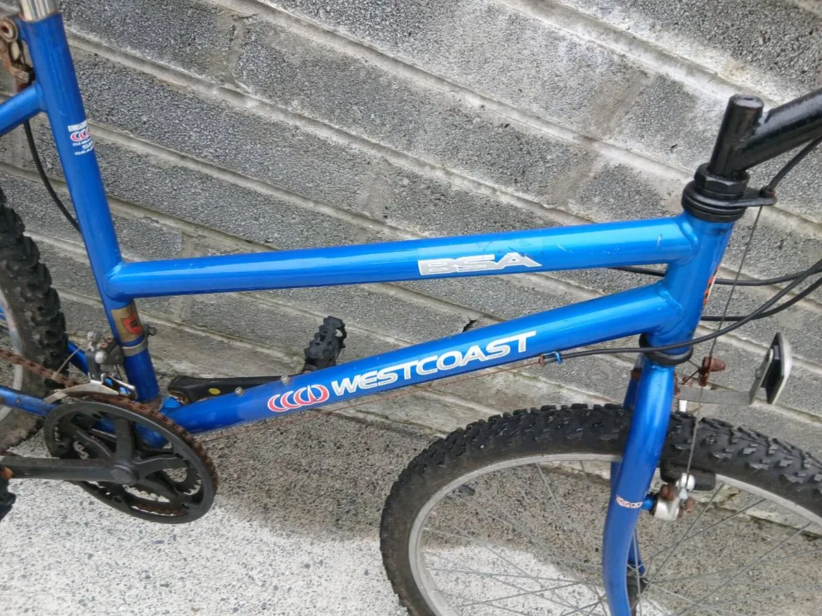 ADULTS BIKE - Image 2