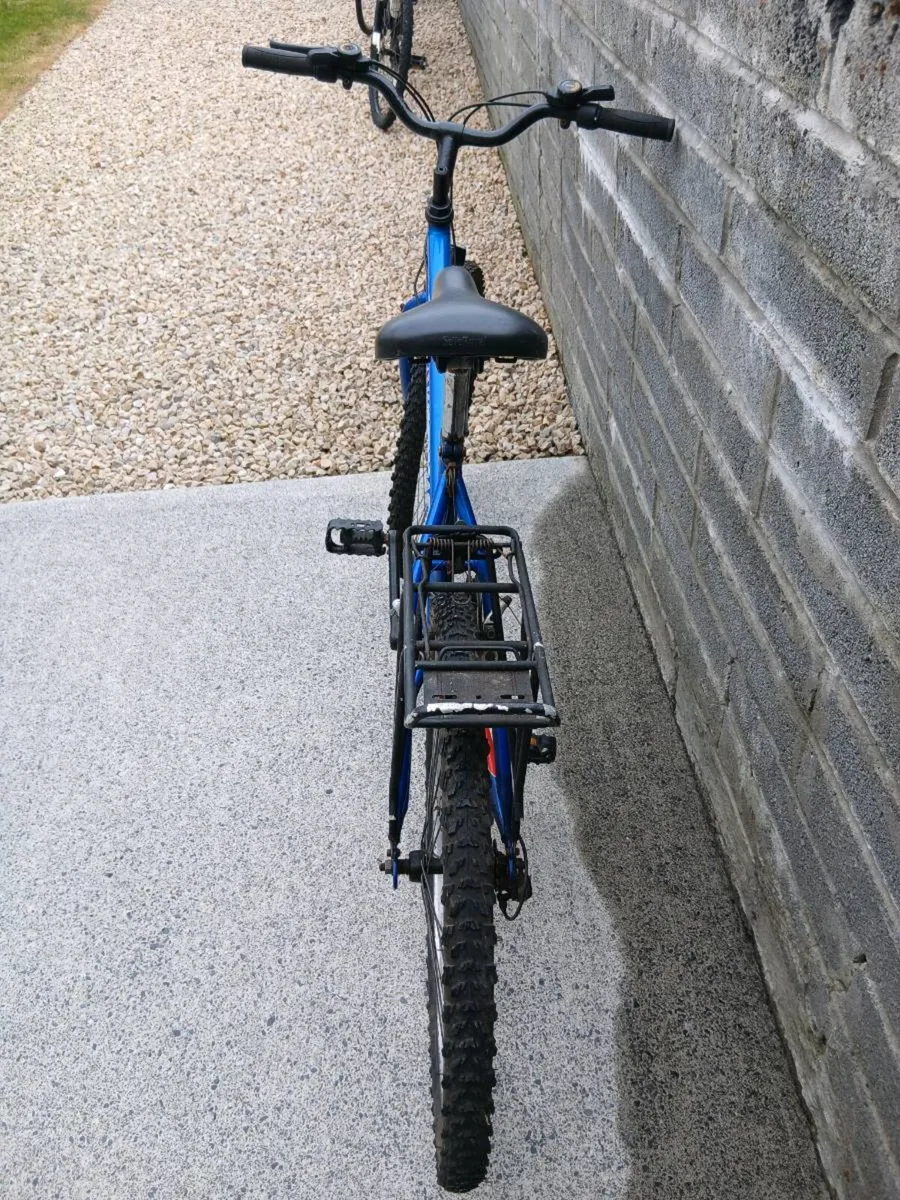 ADULTS BIKE - Image 3