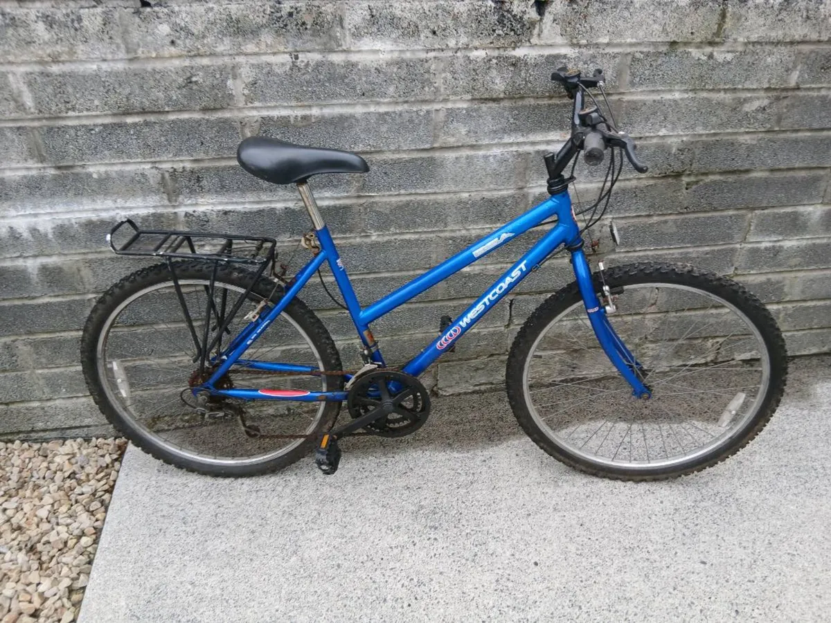 ADULTS BIKE - Image 1