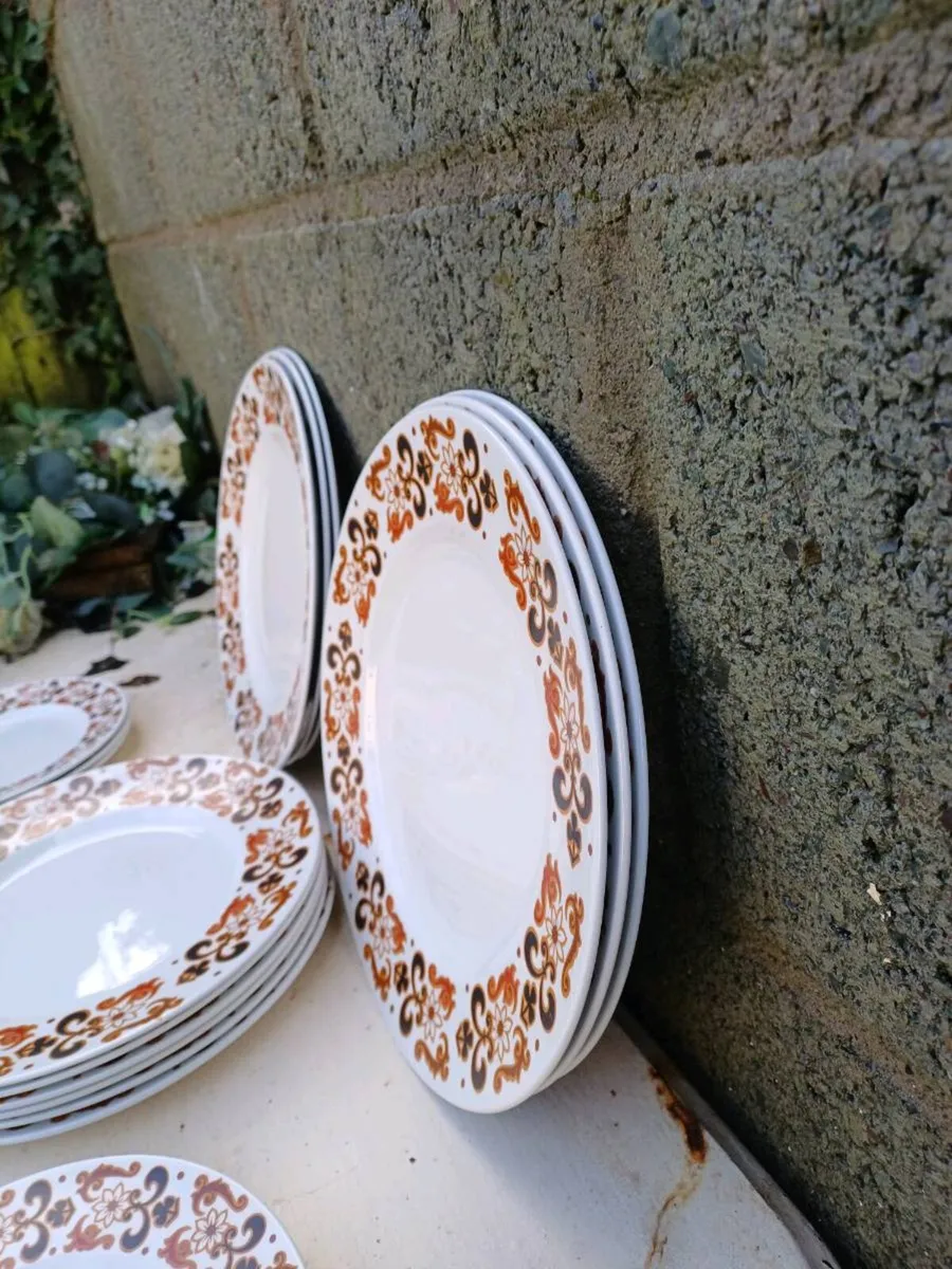 1960/70s Alfred Meakin Dinner Set - Image 4