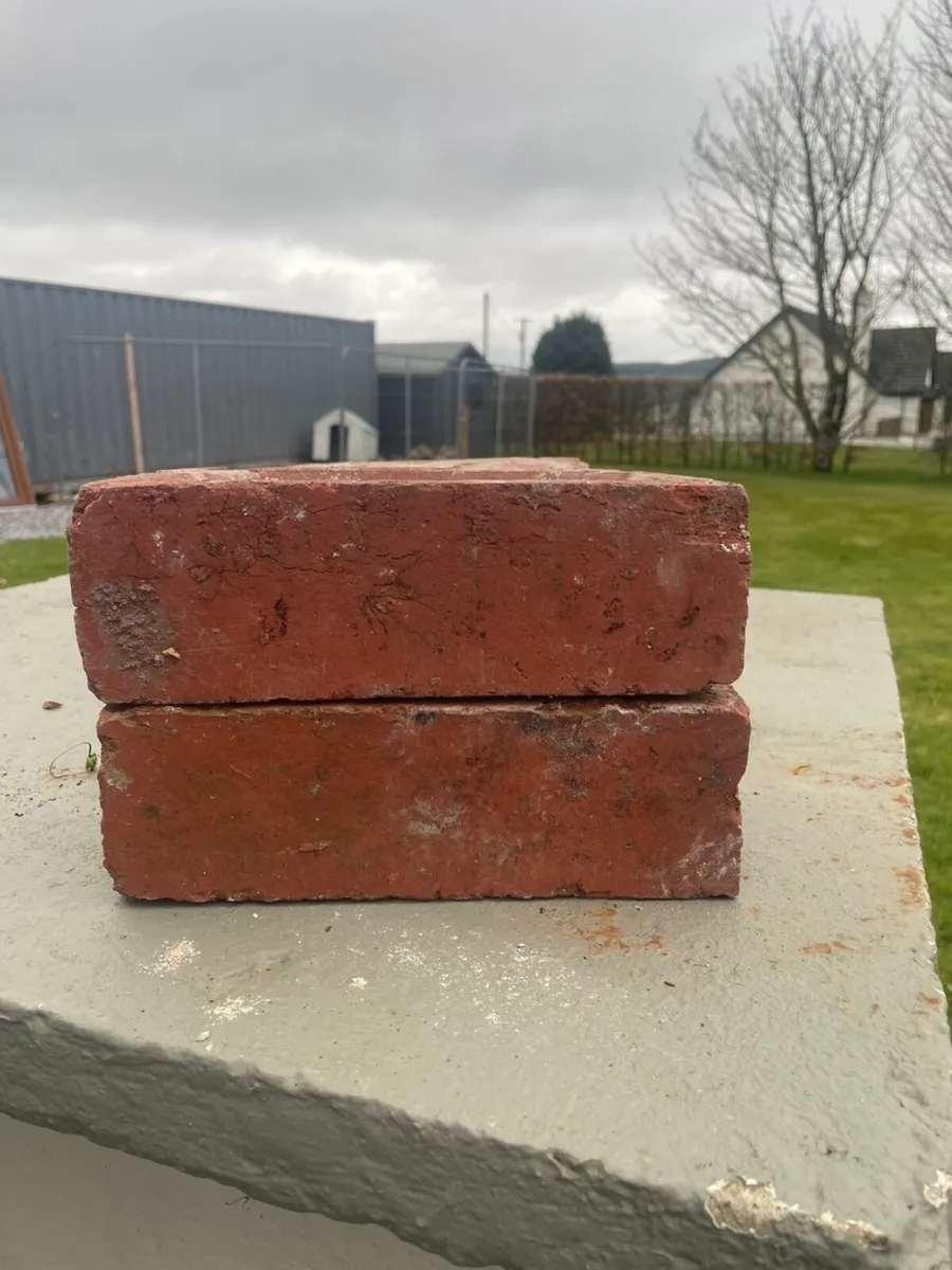 Cork Red Brick - Image 3