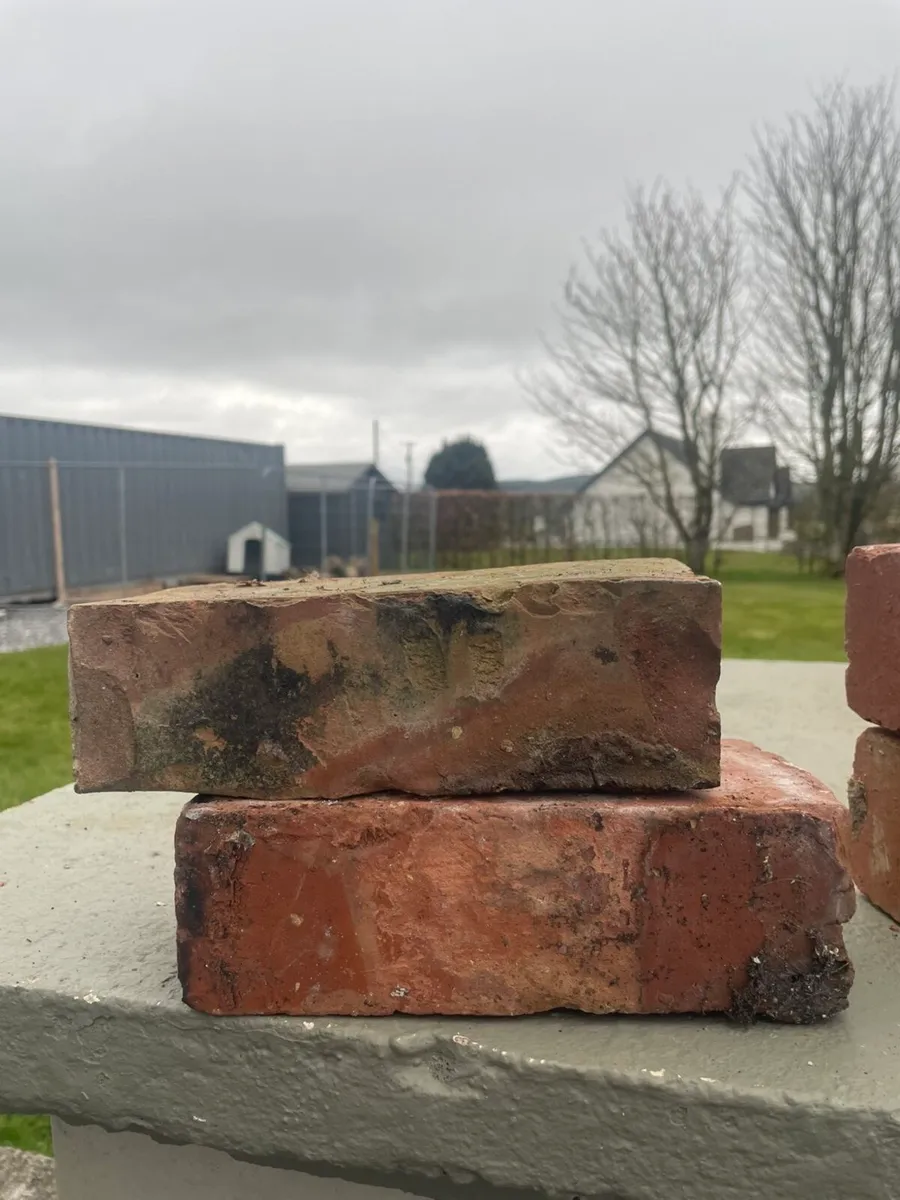 Cork Red Brick - Image 4