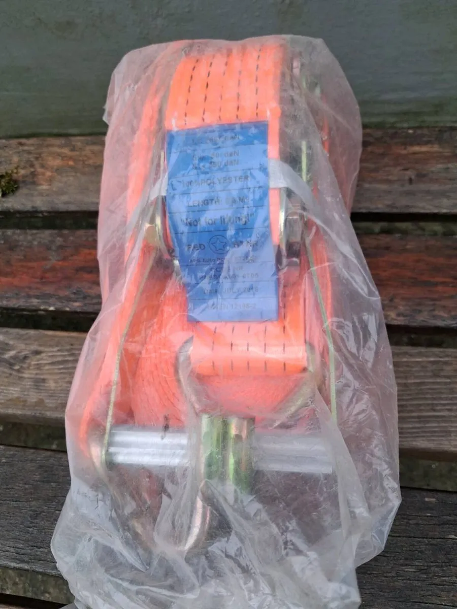 General purpose cargo ratchet strap - Image 1