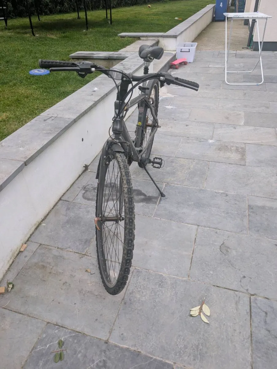 Adults bicycle - Image 2