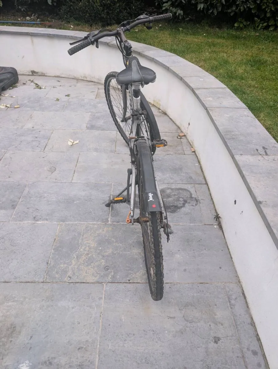 Adults bicycle - Image 3