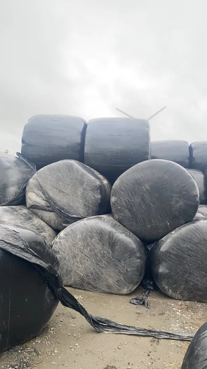 Silage and haylage bales - Image 1