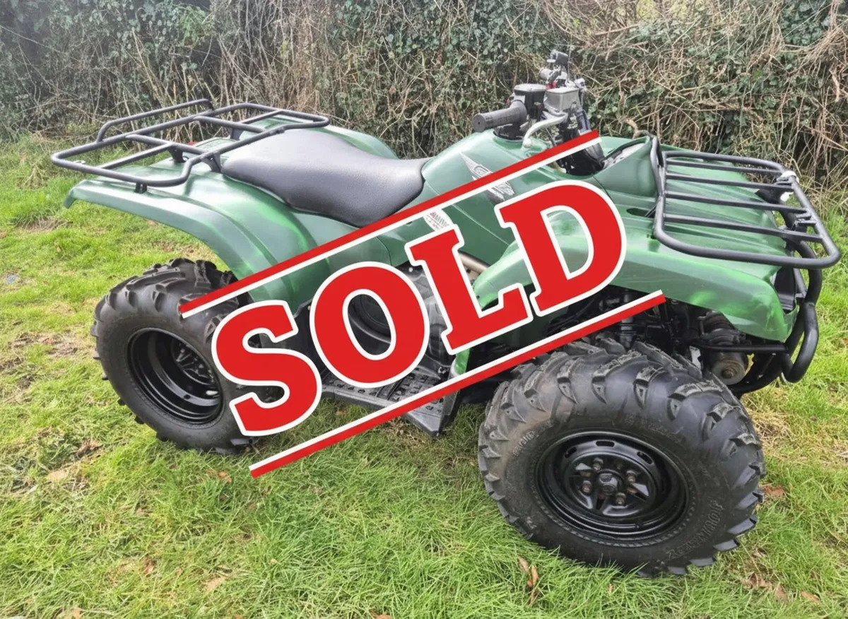 YAMAHA GRIZZLY 350 4WD - Image 1