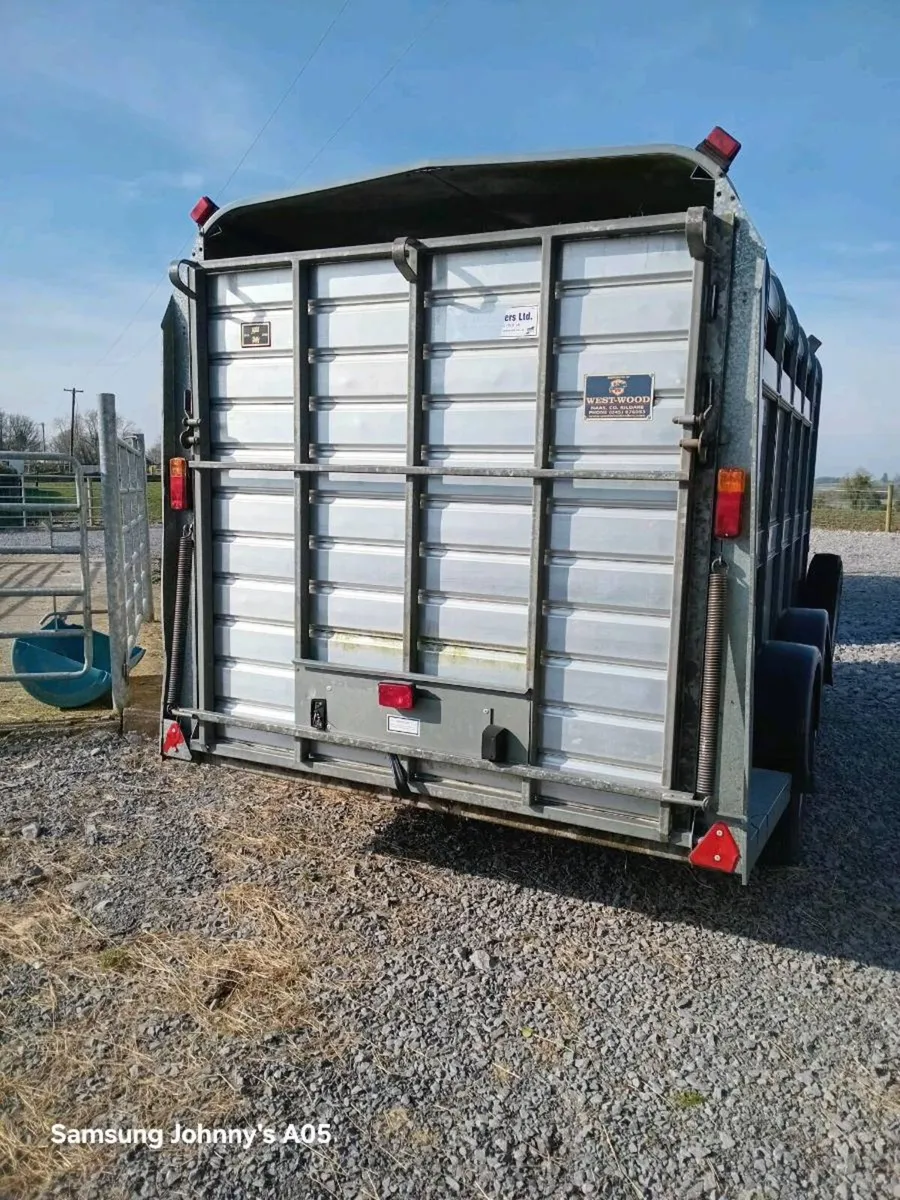 12x6 Cattle Trailers - Image 2