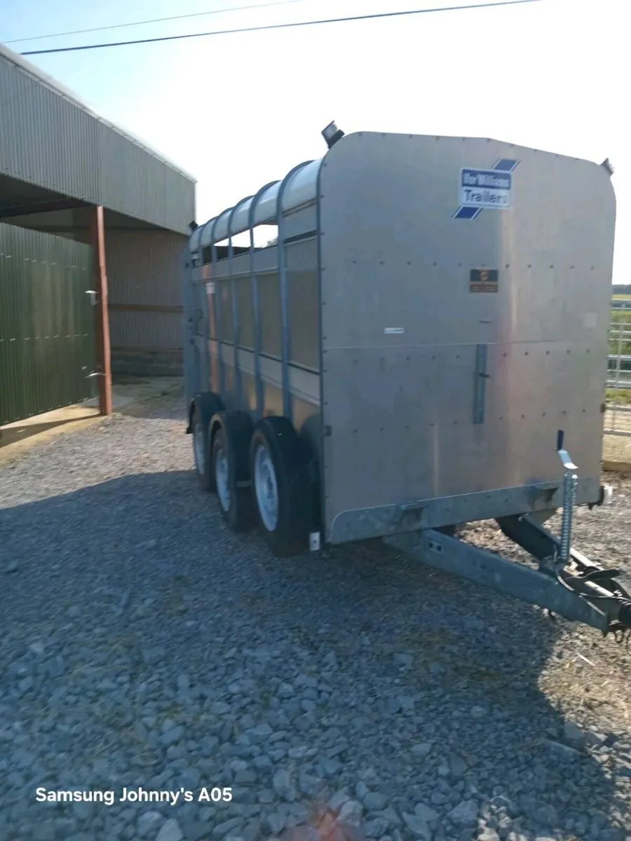 12x6 Cattle Trailers - Image 3
