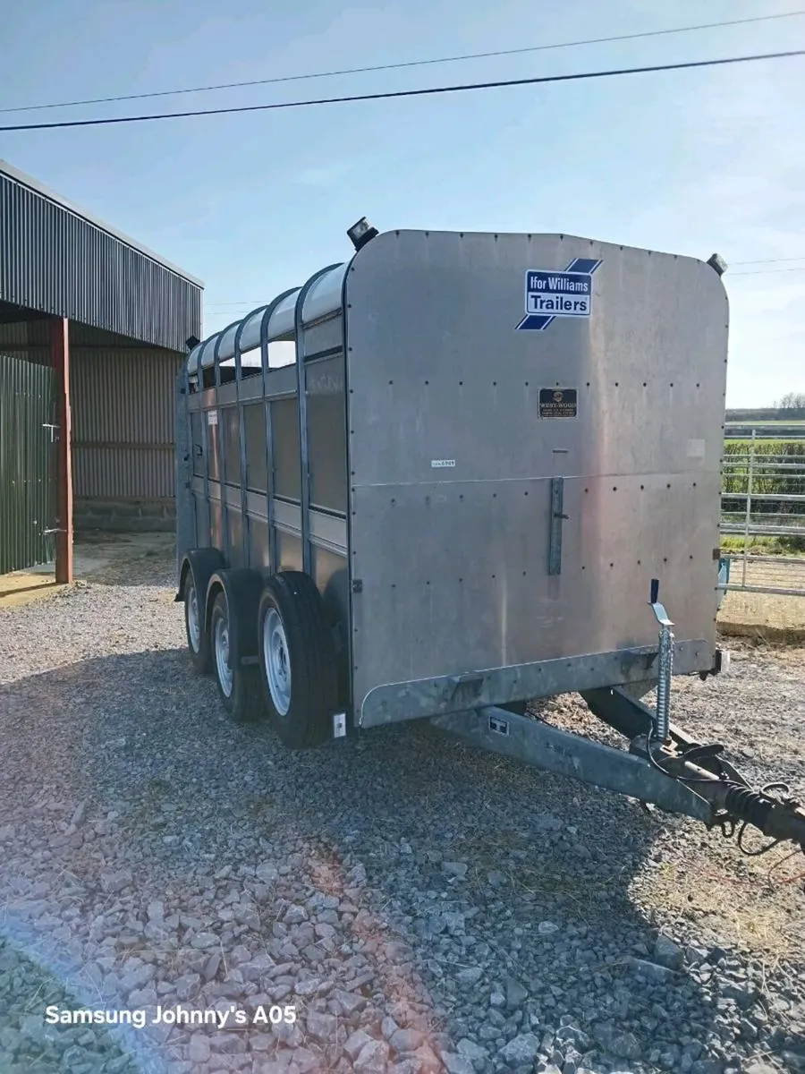 12x6 Cattle Trailers - Image 4