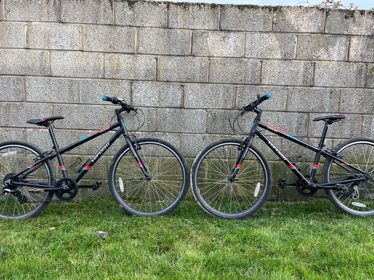 Twin bikes - Image 1