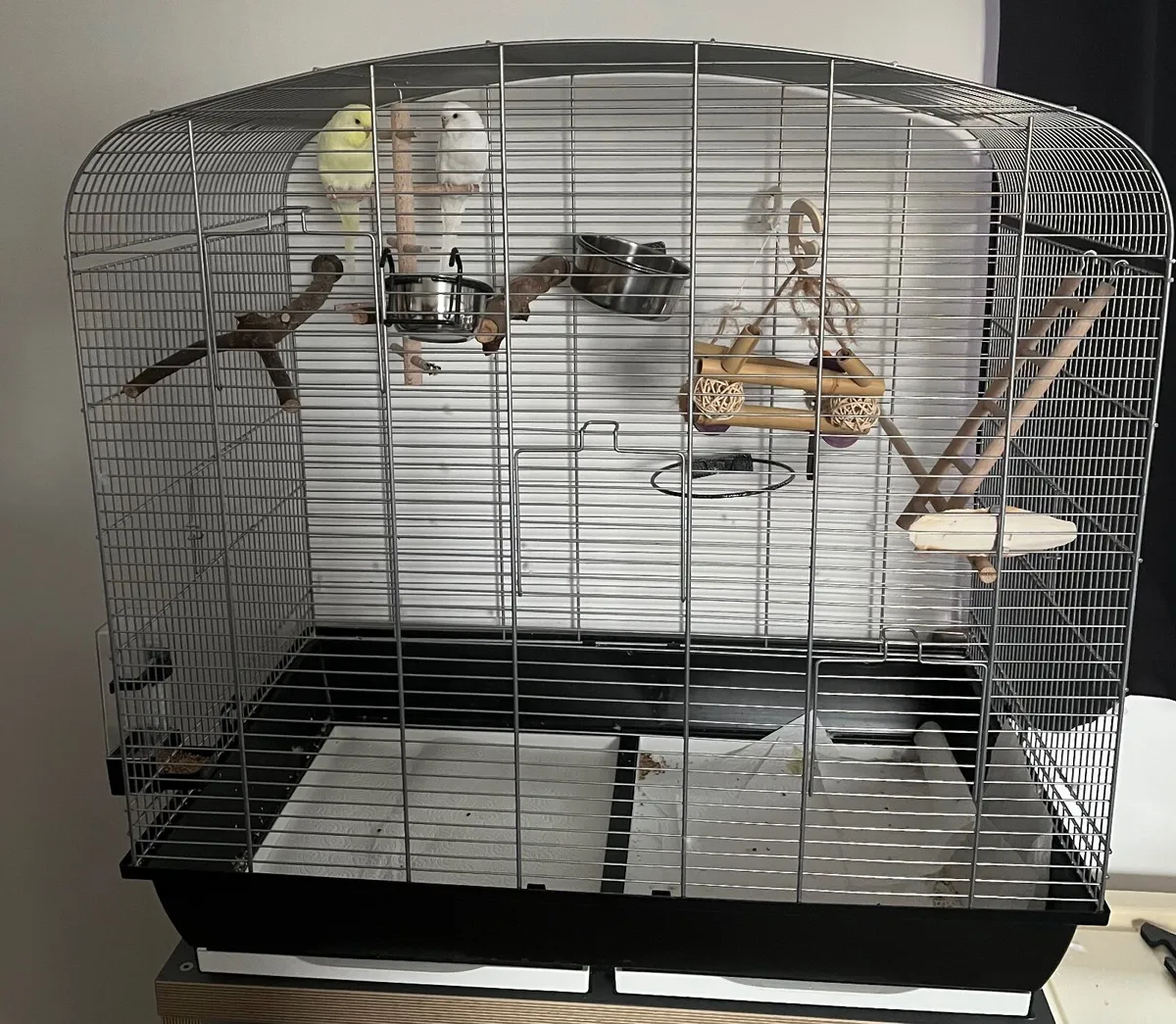Budgies+ cage and accessories - Image 1