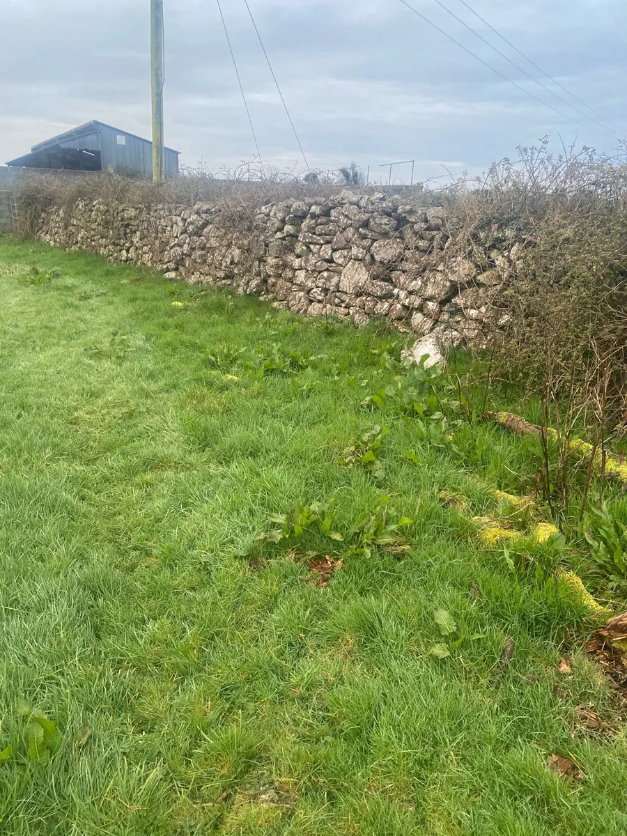 Field building stone - Image 2