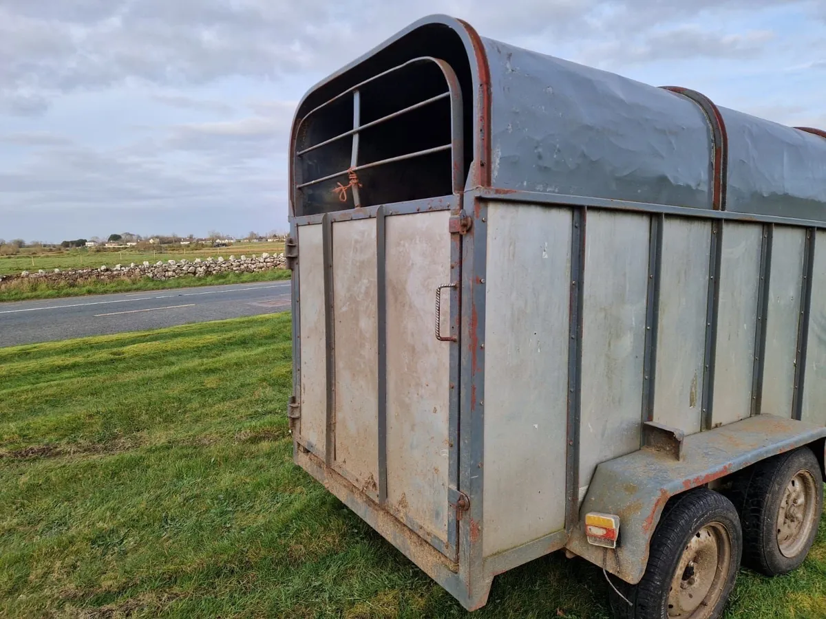 8x4 cattle trailer - Image 2