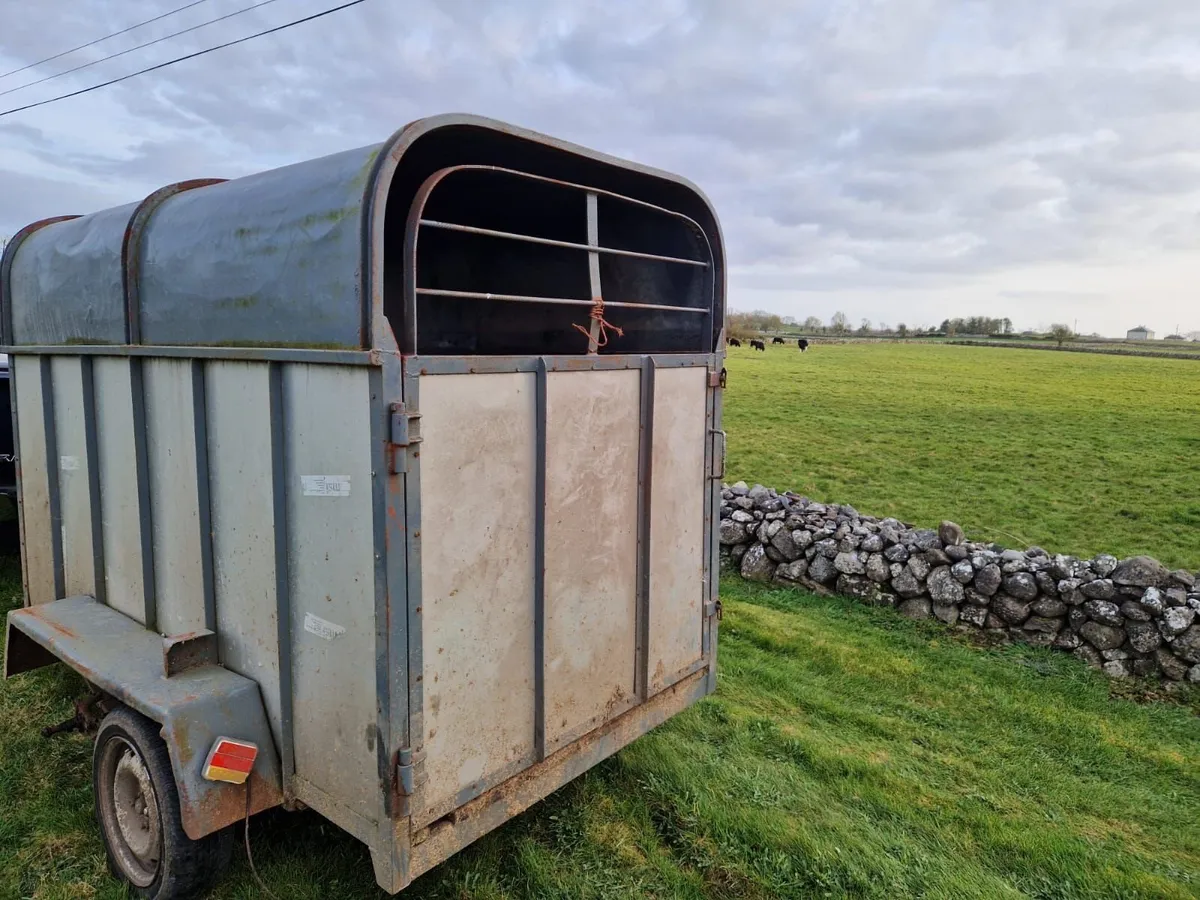 8x4 cattle trailer - Image 4