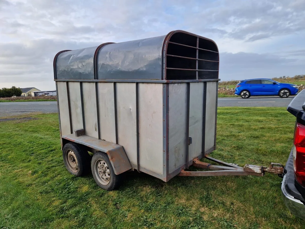 8x4 cattle trailer - Image 1