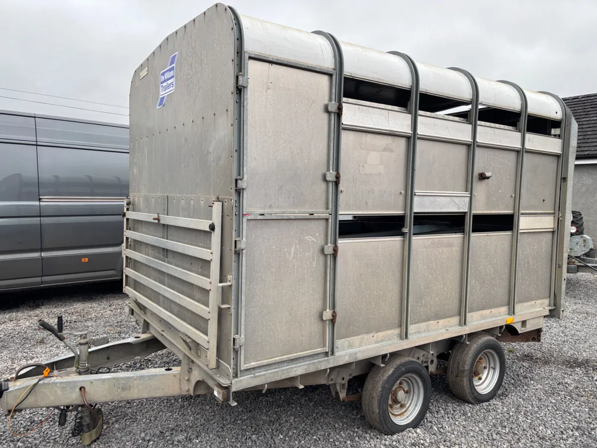 Ifor williams 10ft x 6ft 6” dp - Image 1