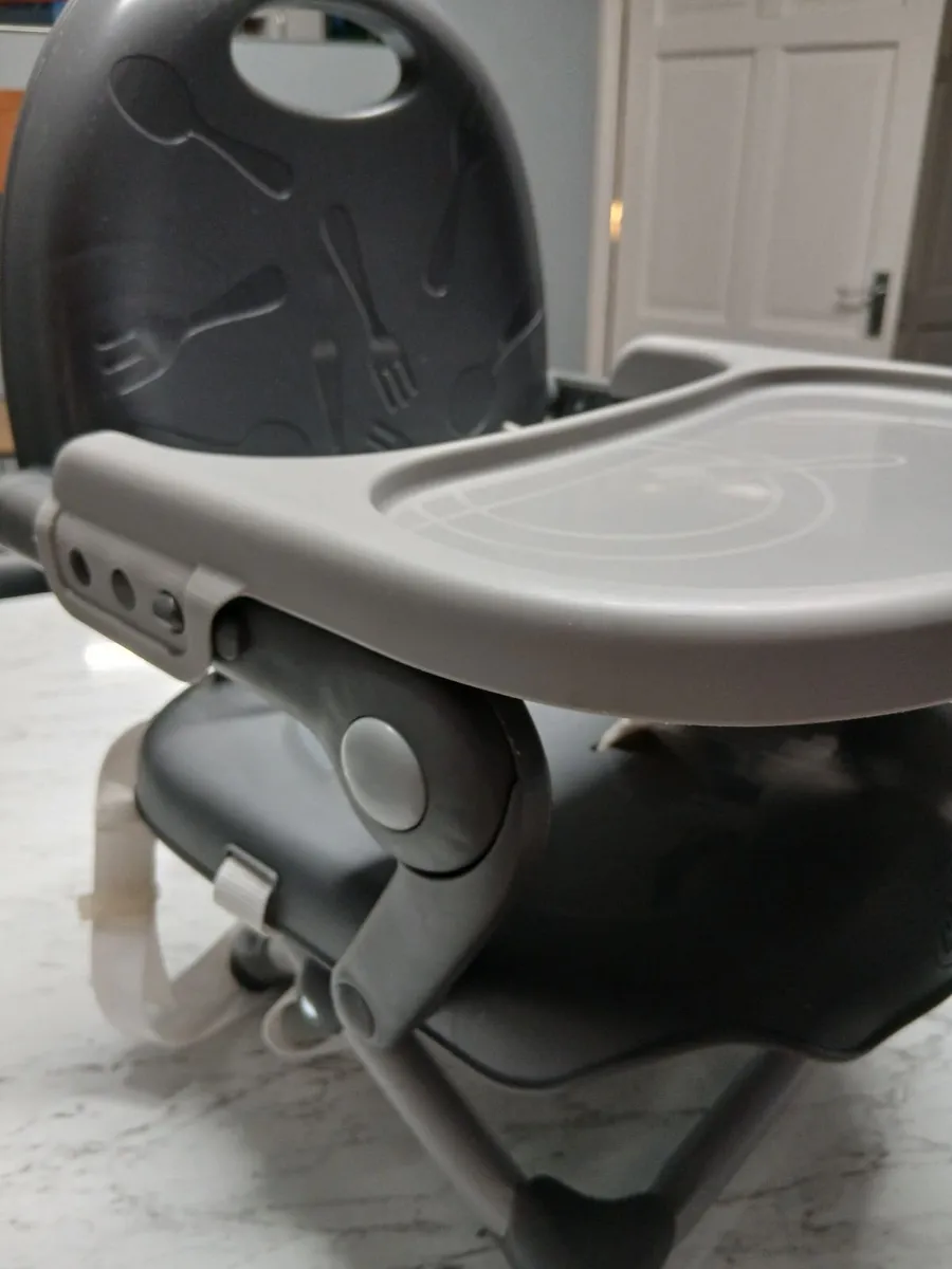 Chicco Booster Chair - Image 1