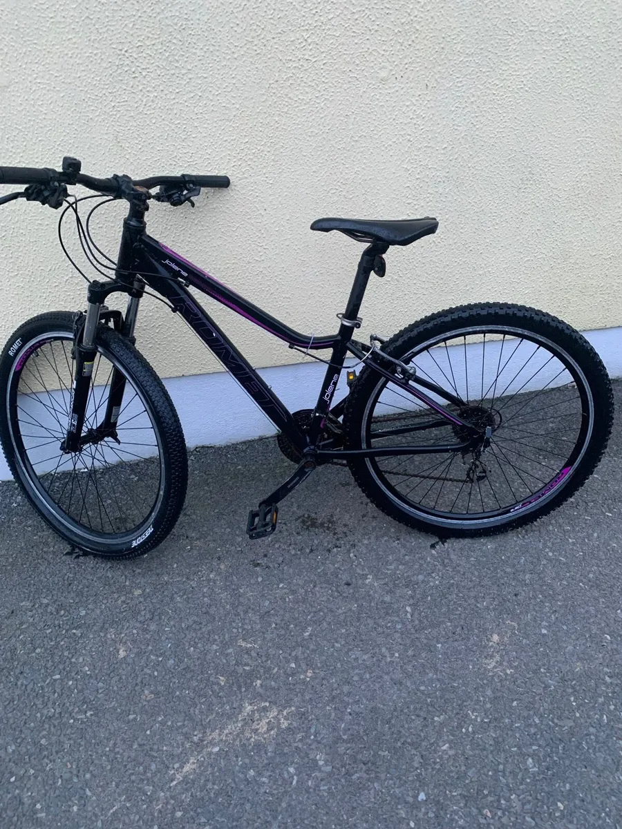 Mountain Bike - Image 1